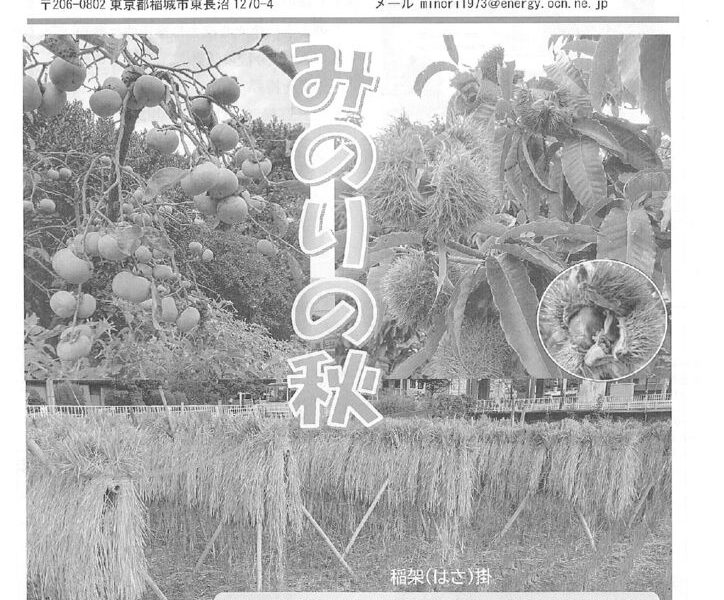 み１のサムネイル