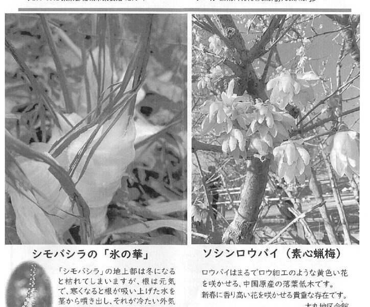 み１のサムネイル